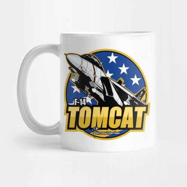 F-14 Tomcat by Aircrew Interview